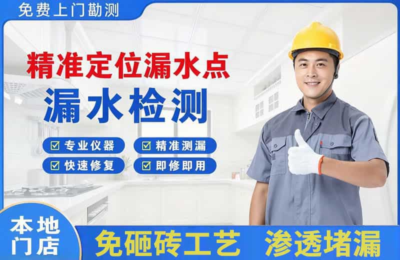 东宝精准测漏点